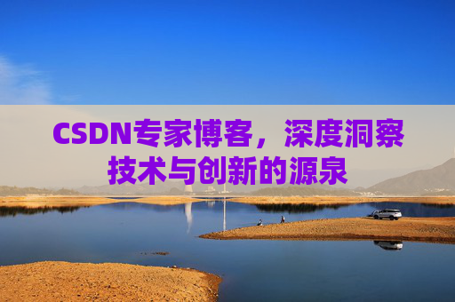 CSDN专家博客，深度洞察技术与创新的源泉